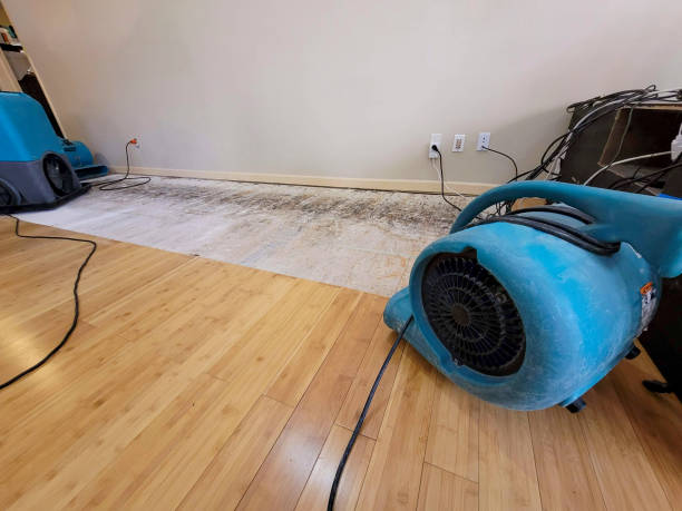 Professional Water Removal technician working in Williston, OH